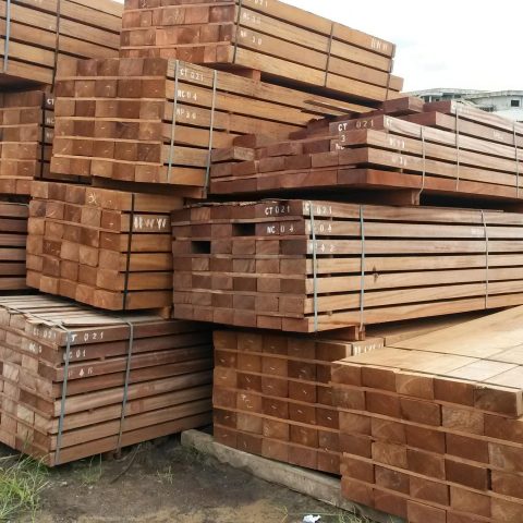 Gallery – Nuri Timber Supply
